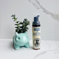 Leave-in Beard Conditioner Foam —Wood & Spice